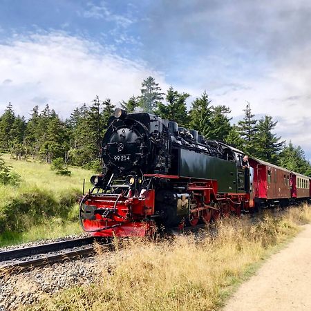 Fewo Fuchsbau Mit Dampfdusche #Kamin#Innenstadtnaehe#Netflix Von Harztraveler Bad Harzburg Esterno foto